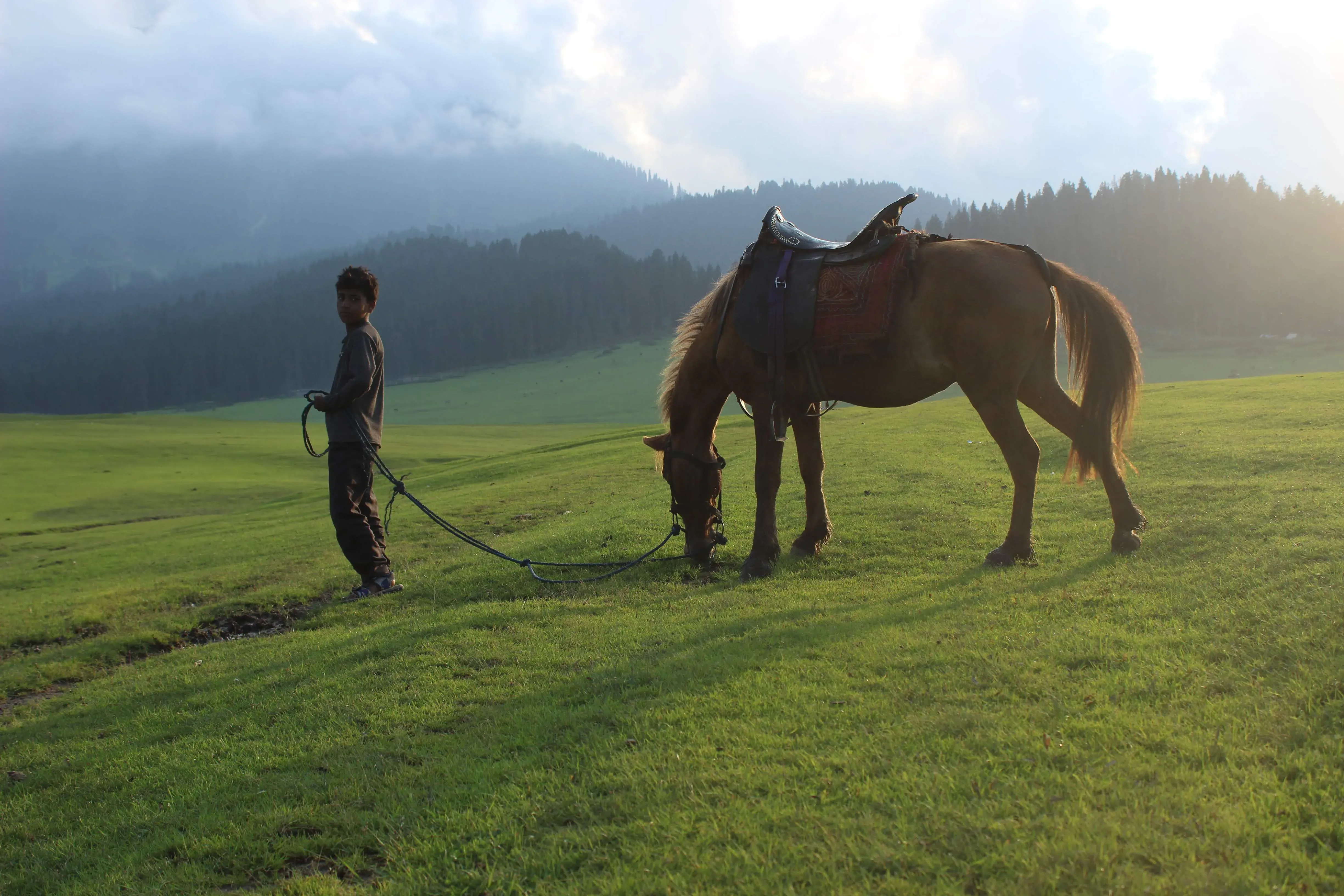 Peaceful meadows and pine forests in Yusmarg